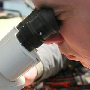 Samara scientists have developed a new method for the early diagnosis of cancer