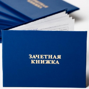 Повышенную стипендию с сентября получат 480 студентов