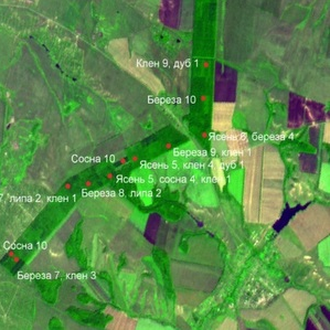 Samara University scholars create Internet service of territorial ecological state estimation 