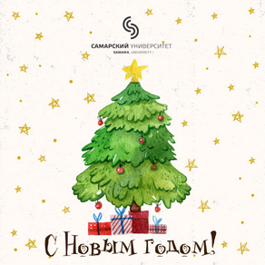 Новогодние советы юриста