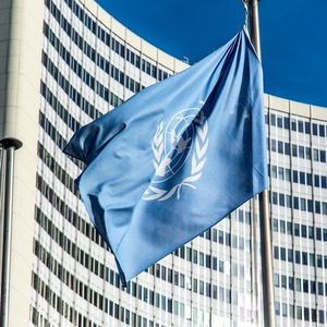 Университет принял участие в работе сессии Комитета ООН