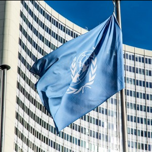 Samara University Took Part in the Session of the UN Committee
