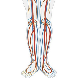 Gravity is used to renew blood vessels in Russia