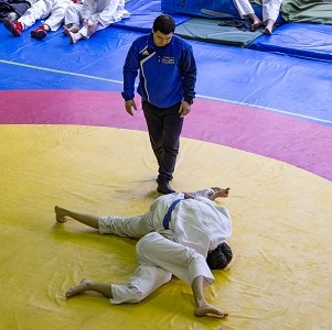 Хороший год у борцов
