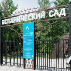 Полевой сезон в Ботаническом саду подходит к концу