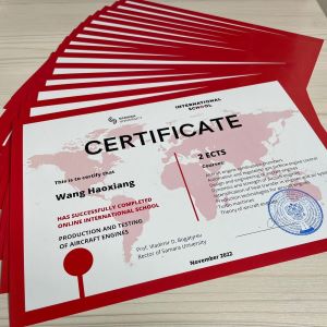 Online International School at Samara University