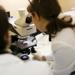 РНФ объявил конкурсы отдельных научных групп, междисциплинарных проектов, а также конкурсы продления реализации проектов