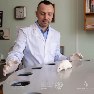 Самарские биологи изучили на крысах влияние цитокиновой "непогоды" на здоровье сердца