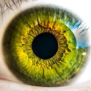 Как быстрее восстановить зрение после операции на глазах