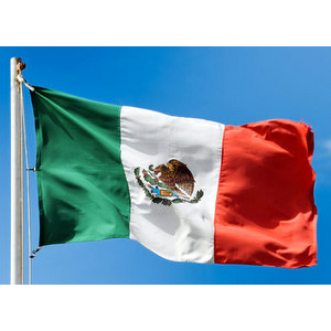 Правительство Мексики объявило международную стипендиальную программу на 2015-2016 учебный год